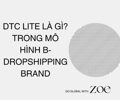 DTC Lite Là Gì?