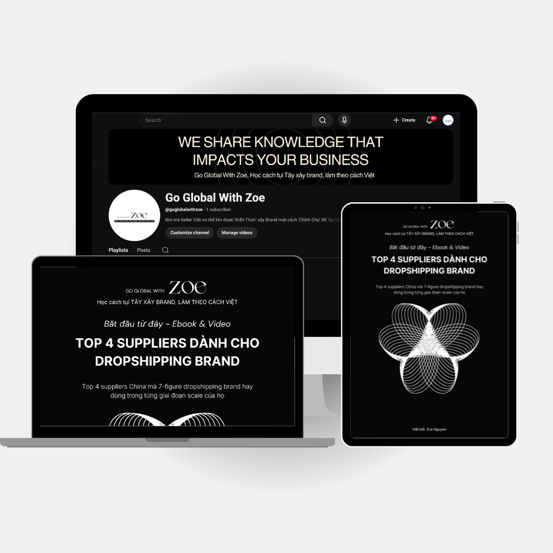 DS-6 | Top 4 Supplier dành cho Dropshipping Brand