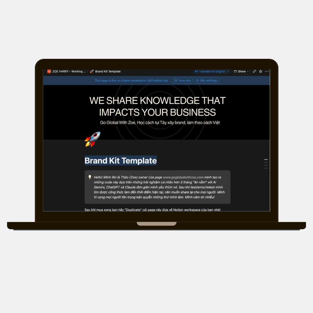 DS+DTC | Brand Guideline Kit